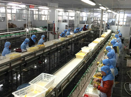  食品加工廢氣處理